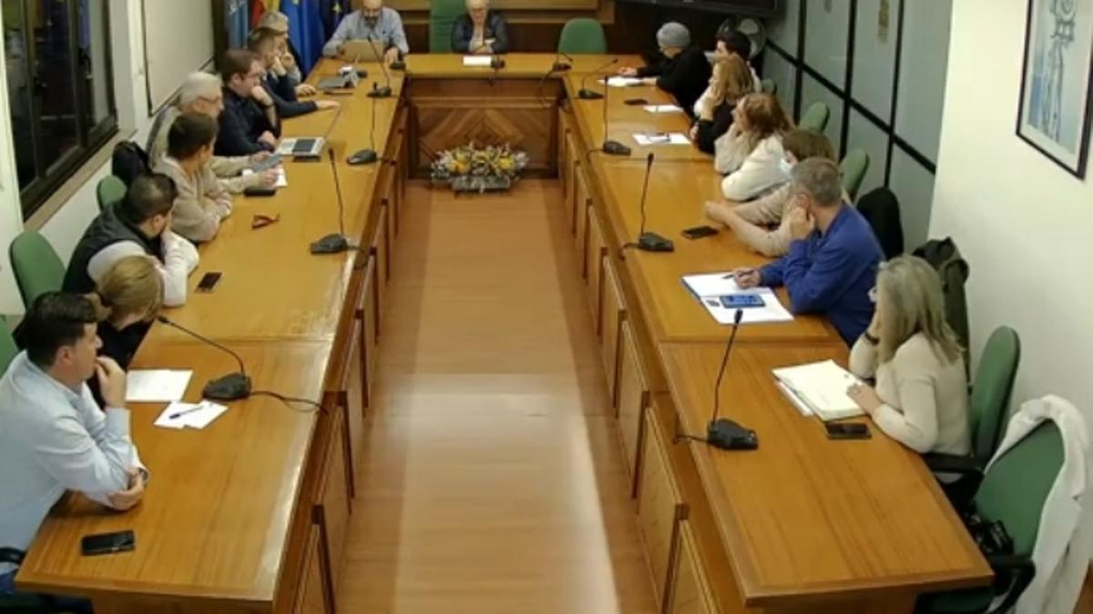 Un momento del pleno extraordinario celebrado este viernes en Llanera.