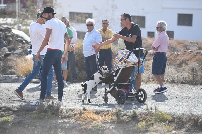 FIESTA DE SAN GREGORIO TELDE