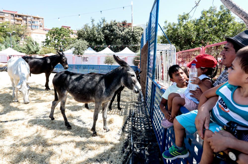 «Los Colores de la Tierra» en Callosa d''en Sarrià