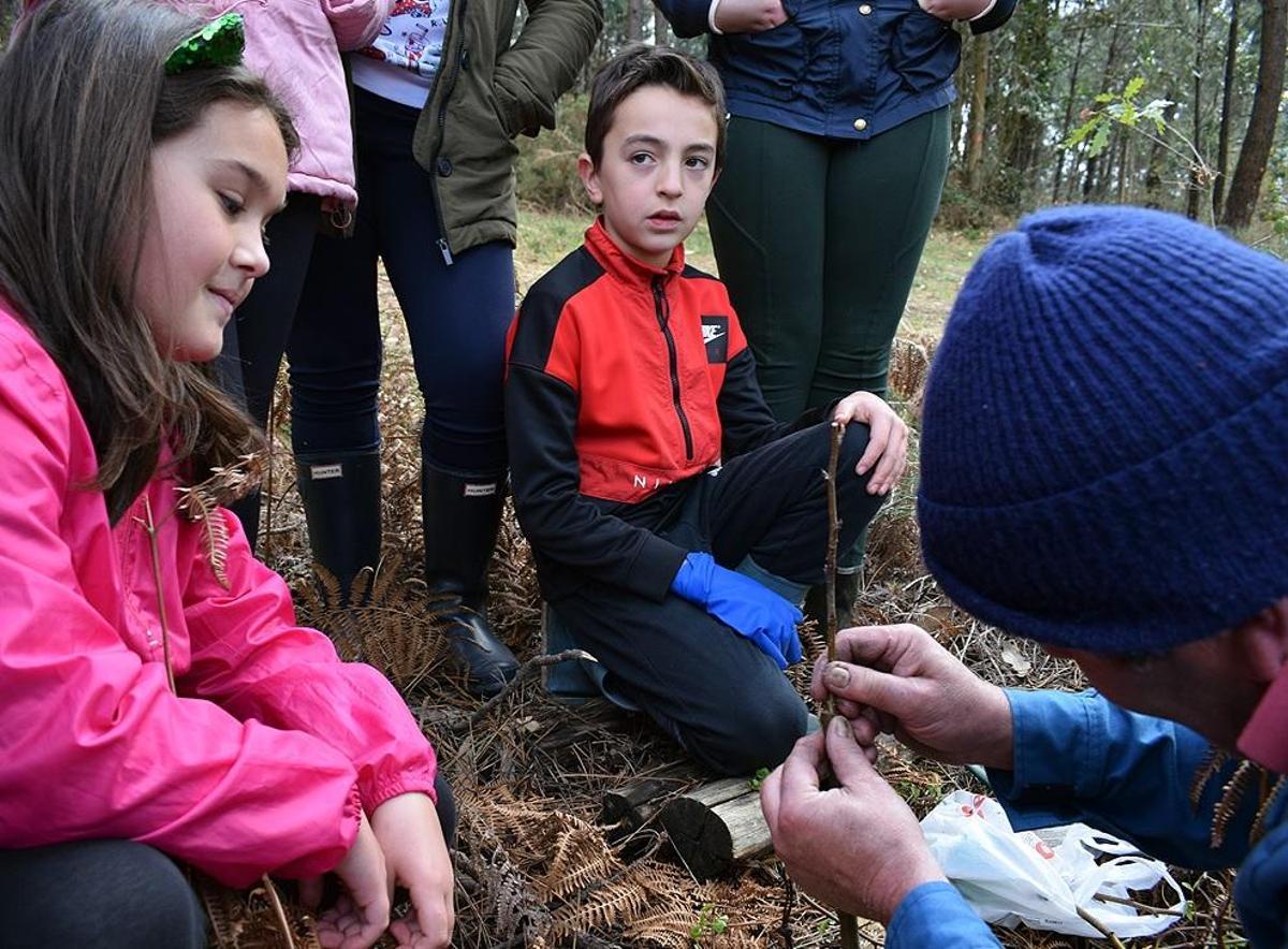 El Día Internacional de los Bosques también se celebra en la comarca