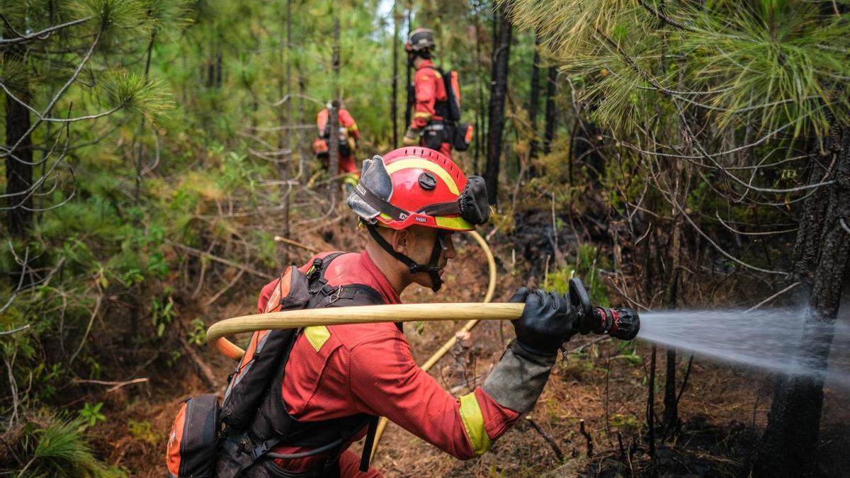 Trabajo de las Brifor en el incendio de Los Realejos