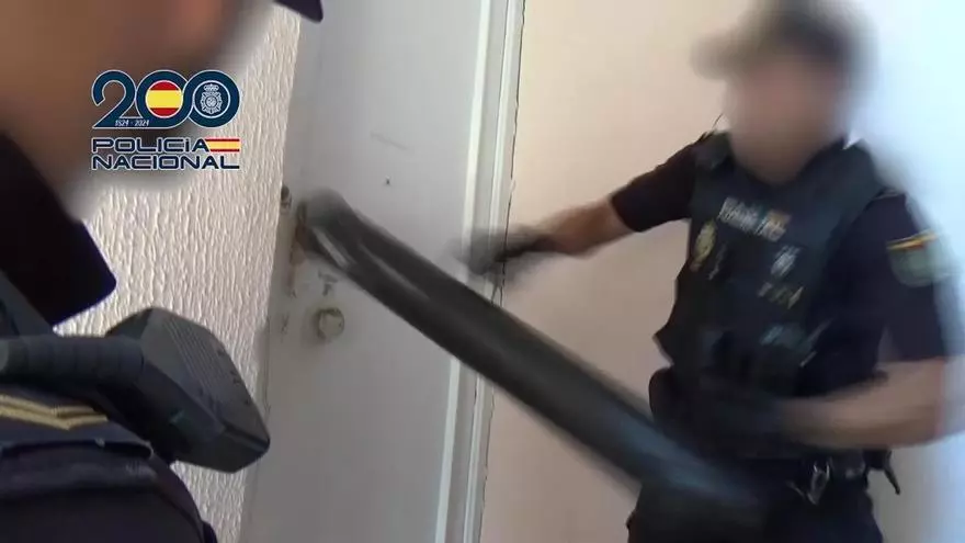 Así desmanteló la Policía Nacional tres plantaciones de marihuana en Murcia