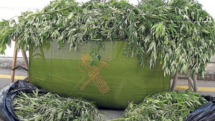 Intervienen 30 kilos de marihuana