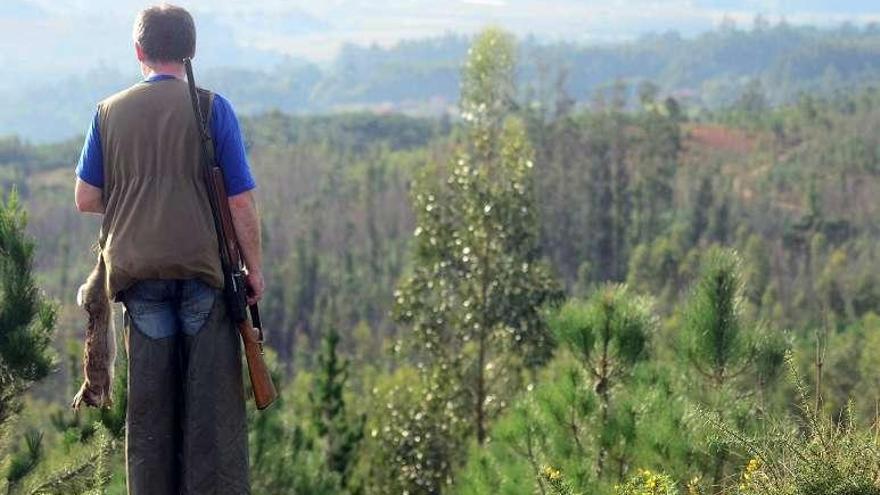 Valoraciones dispares en los montes de O Salnés