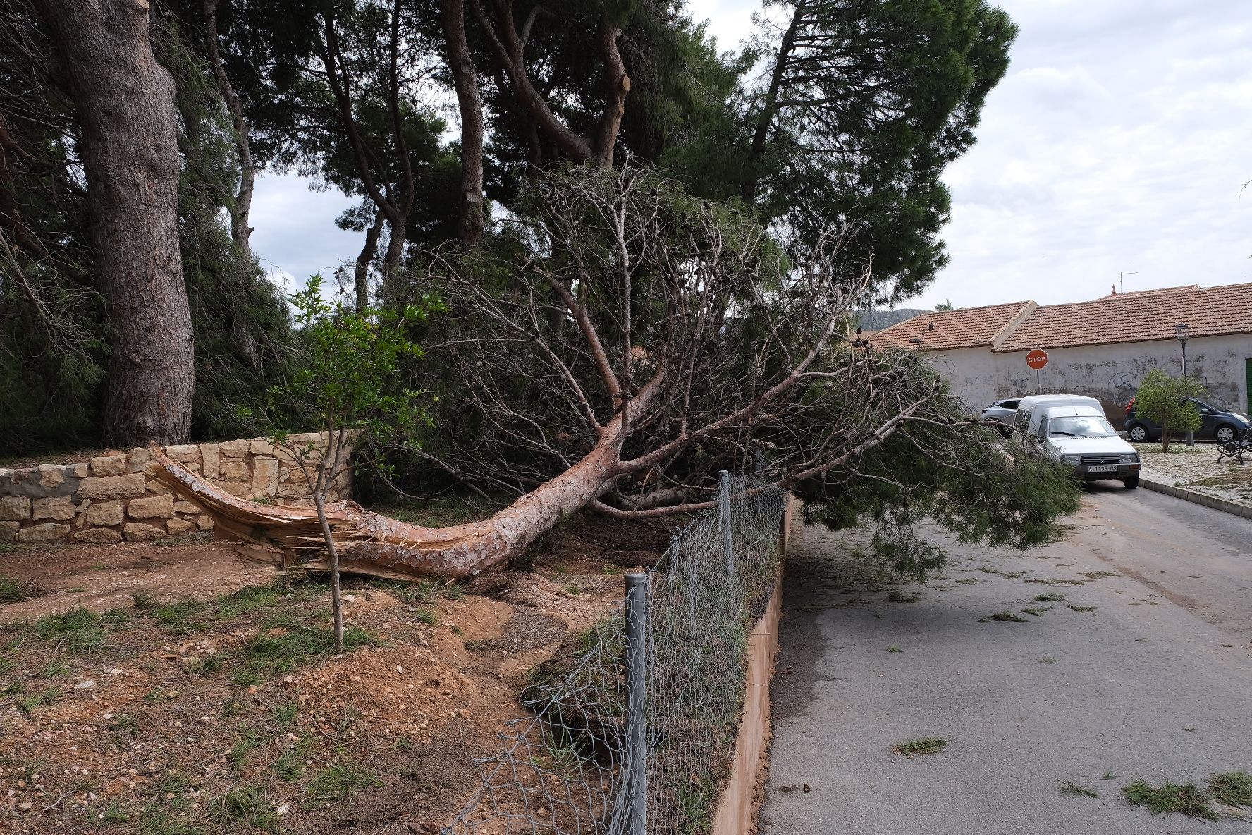 Tormenta de intensidad torrencial con rayos y granizo en el Alto y Medio Vinalopó