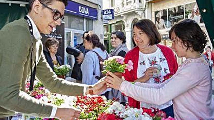 Festival solidario de Nuestra Madre