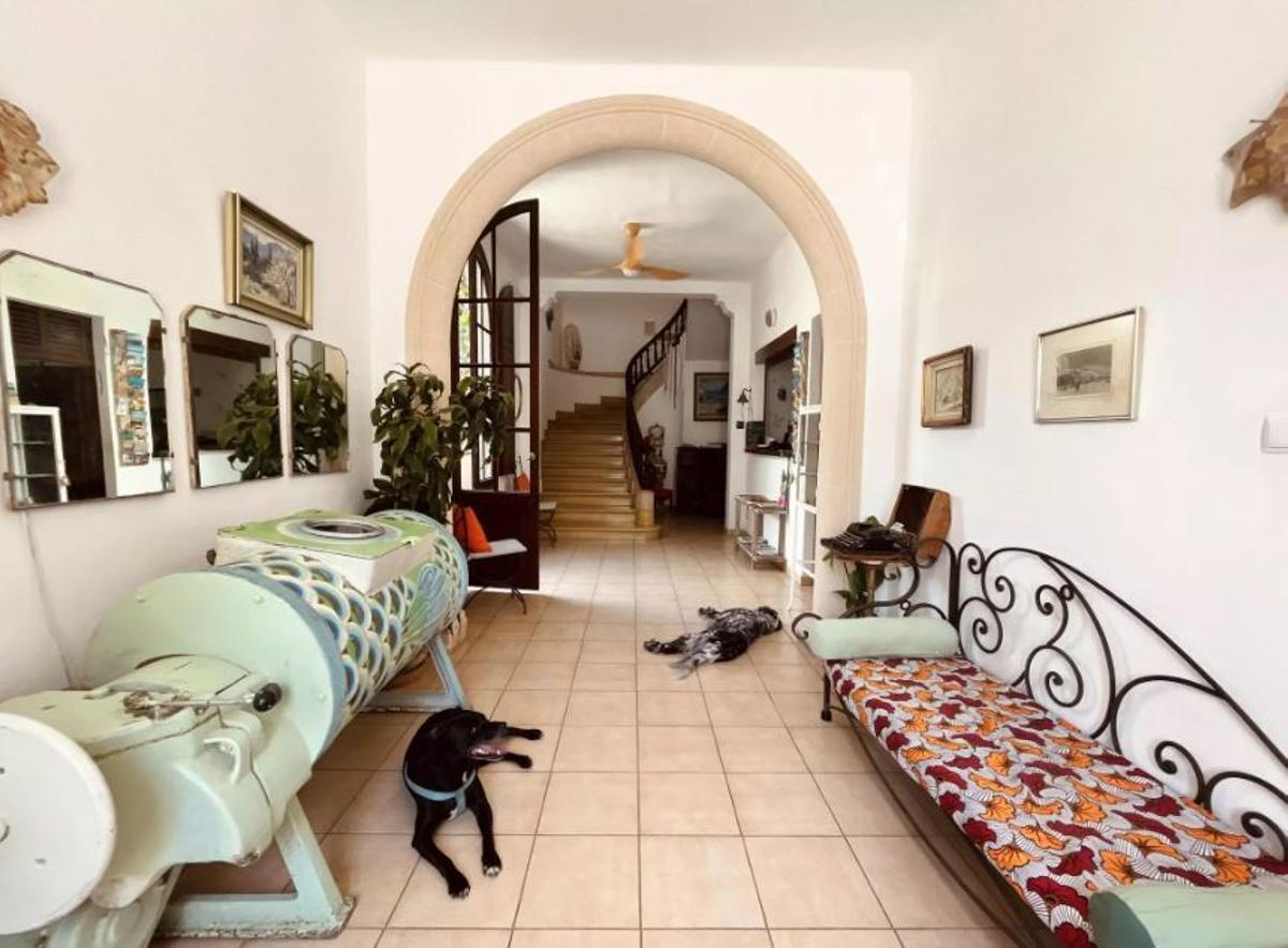 Hunde dürfen in der Pensión Bellavista nicht fehlen.