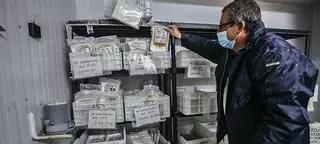 El Centro de Transfusión almacena más de 350 bolsas de plasma de enfermos curados para tratar el covid