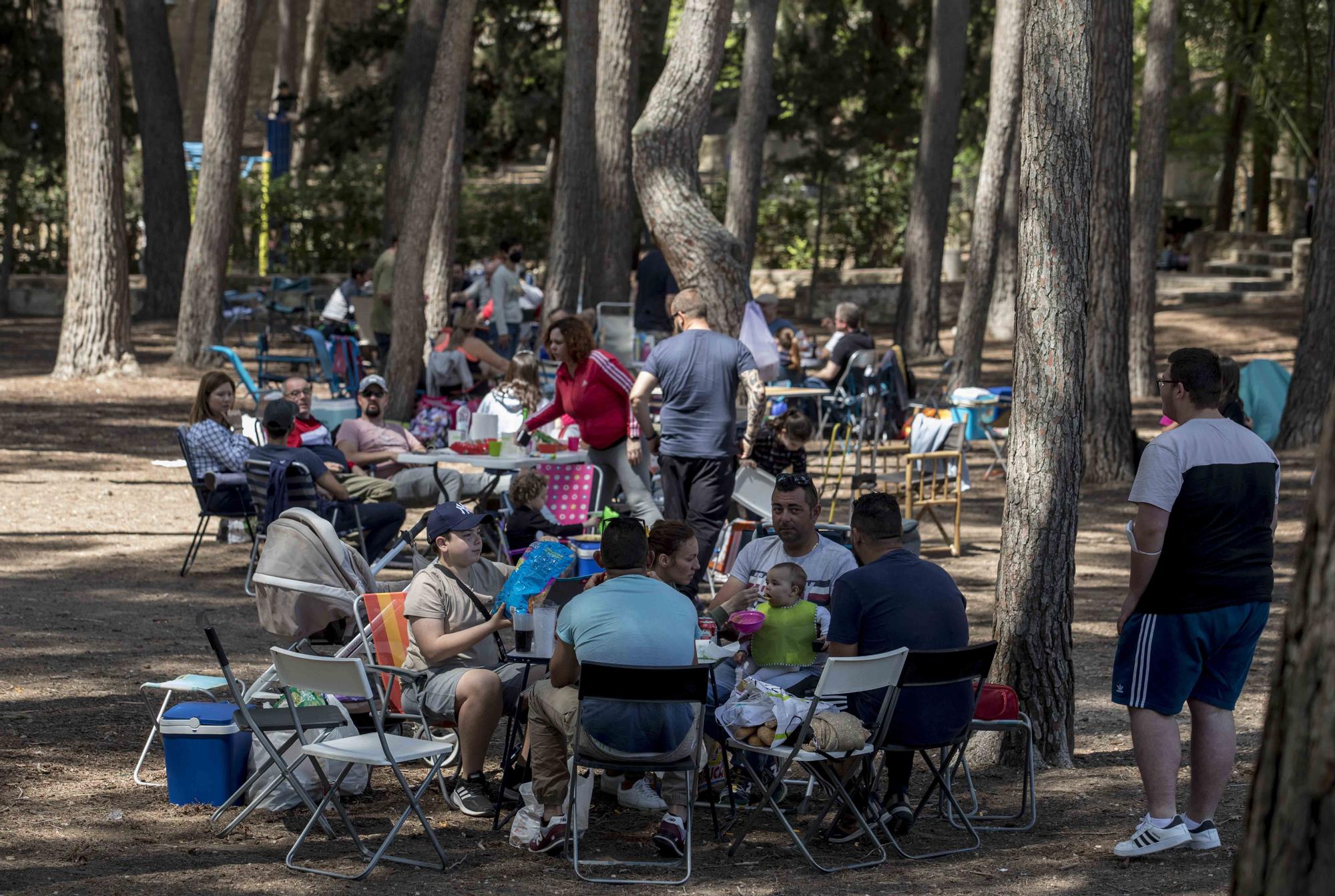 El Parc d San Vicent de Lliria vuelve a llenarse de familias dos años depués