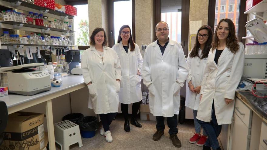 La Universidad de Oviedo consigue financiación europea para la producción masiva de antimicrobianos