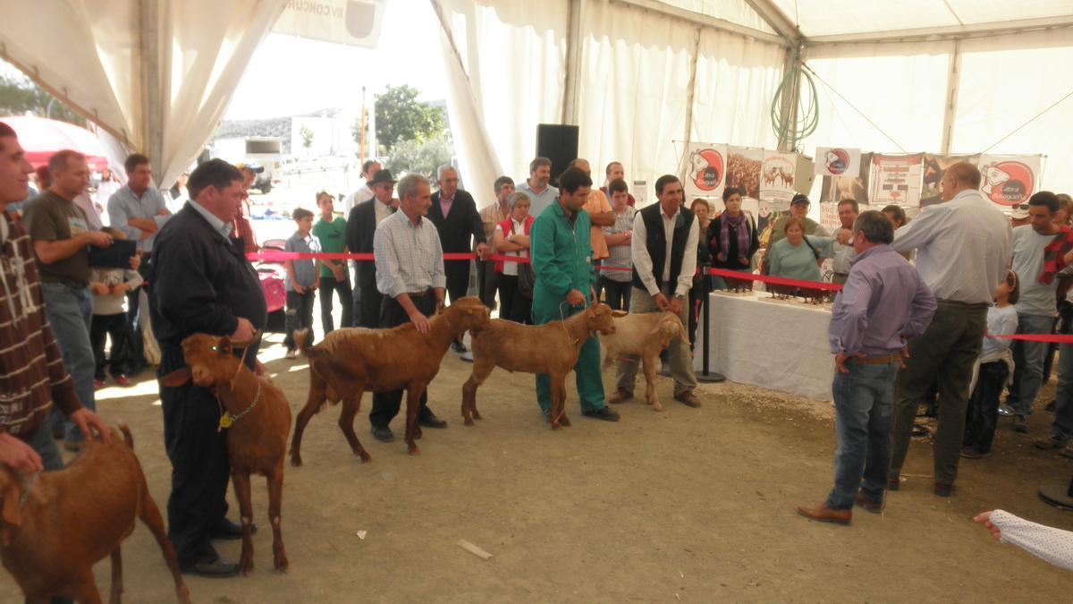 Una edición anterior de la Feria del Ganado.