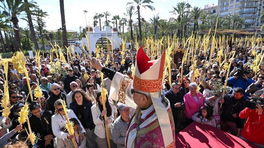 Las mejores imágenes del Domingo de Ramos en Elche