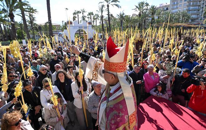 Las mejores imágenes del Domingo de Ramos en Elche