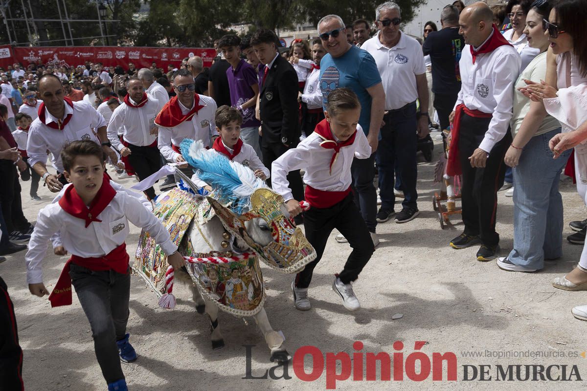 Fiestas de Caravaca | Desfile infantil del Bando de los Caballos del Vino