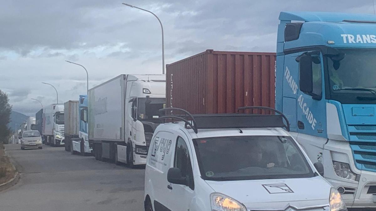 Cientos de camioneros parados en la AP-7 por el corte de los agricultores franceses.