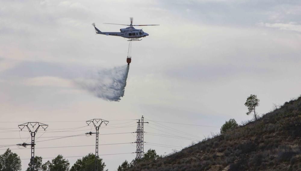 Incendio forestal en la zona el Pi d'Ambrosio de l'Ènova