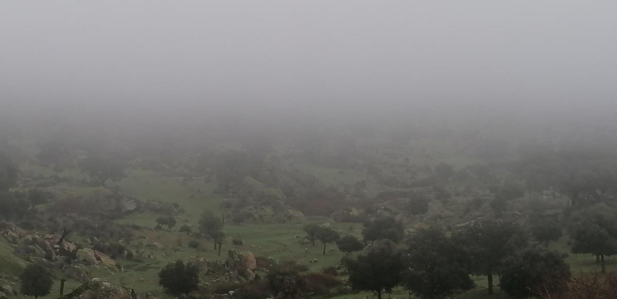 Fotogalería | Mañana de niebla en el norte de Cáceres
