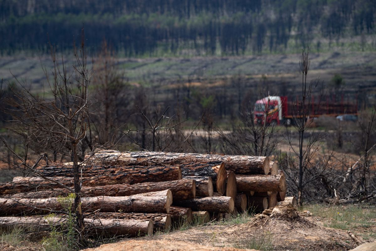 Pueblos afectados por el primer incendio de 2022 en la Sierra de la Culebra