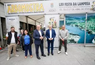 Arbo ultima a LXVI Festa da Lamprea