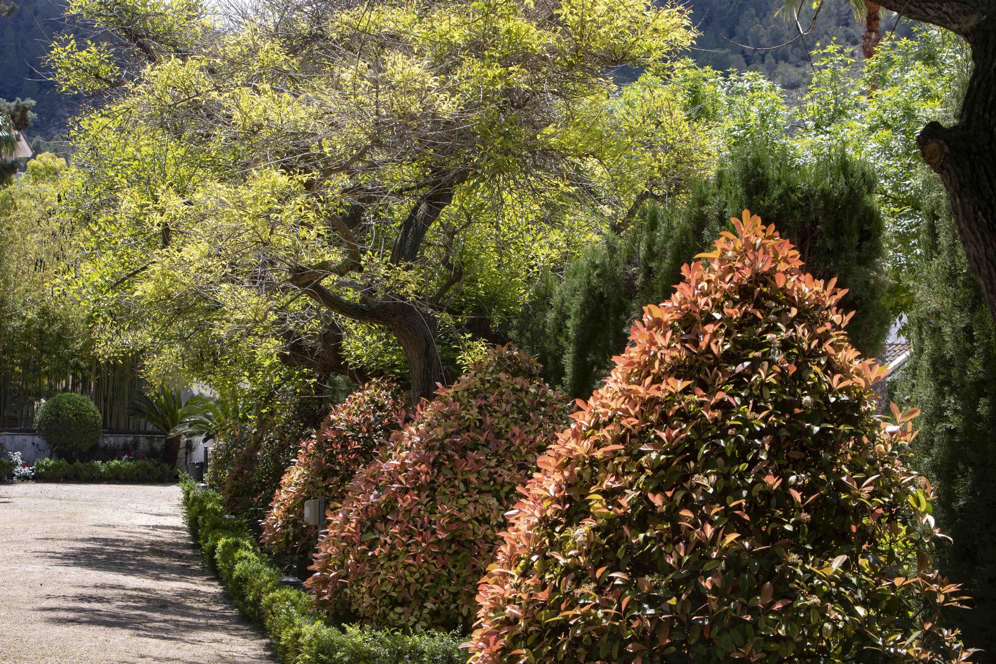 Lucha biológica en "Los Jardines del Palasiet" de Xàtiva