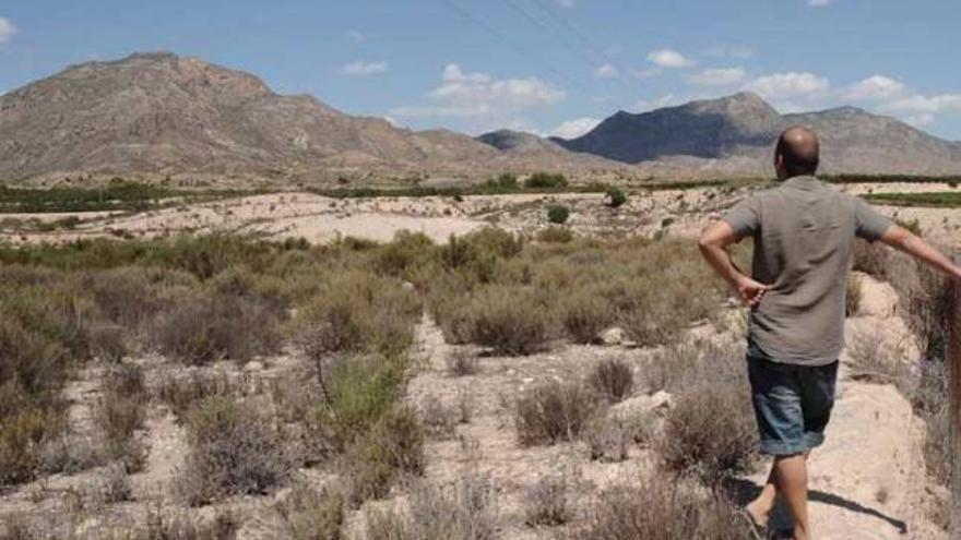 Una imagen de los terrenos donde supuestamente se ubicaría la Planta de Residuos de la Vega Baja.