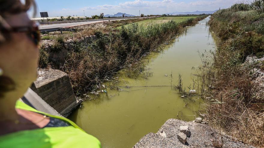 La CHS carga al riego tradicional el coste de atajar la contaminación del río por plásticos