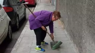Perros sí, pero cumpliendo la normativa de limpieza