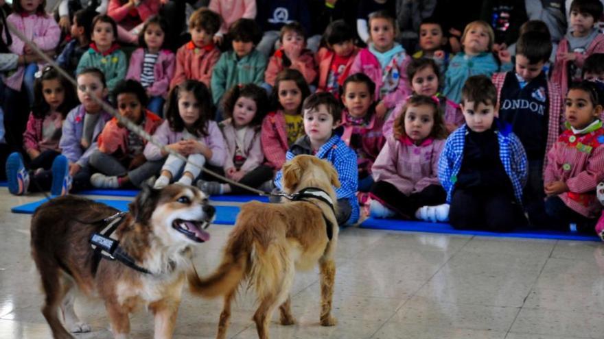 La protectora de Vilagarcía conciencia a los niños del colegio Anexo A Lomba sobre la adopción de mascotas y su cuidado