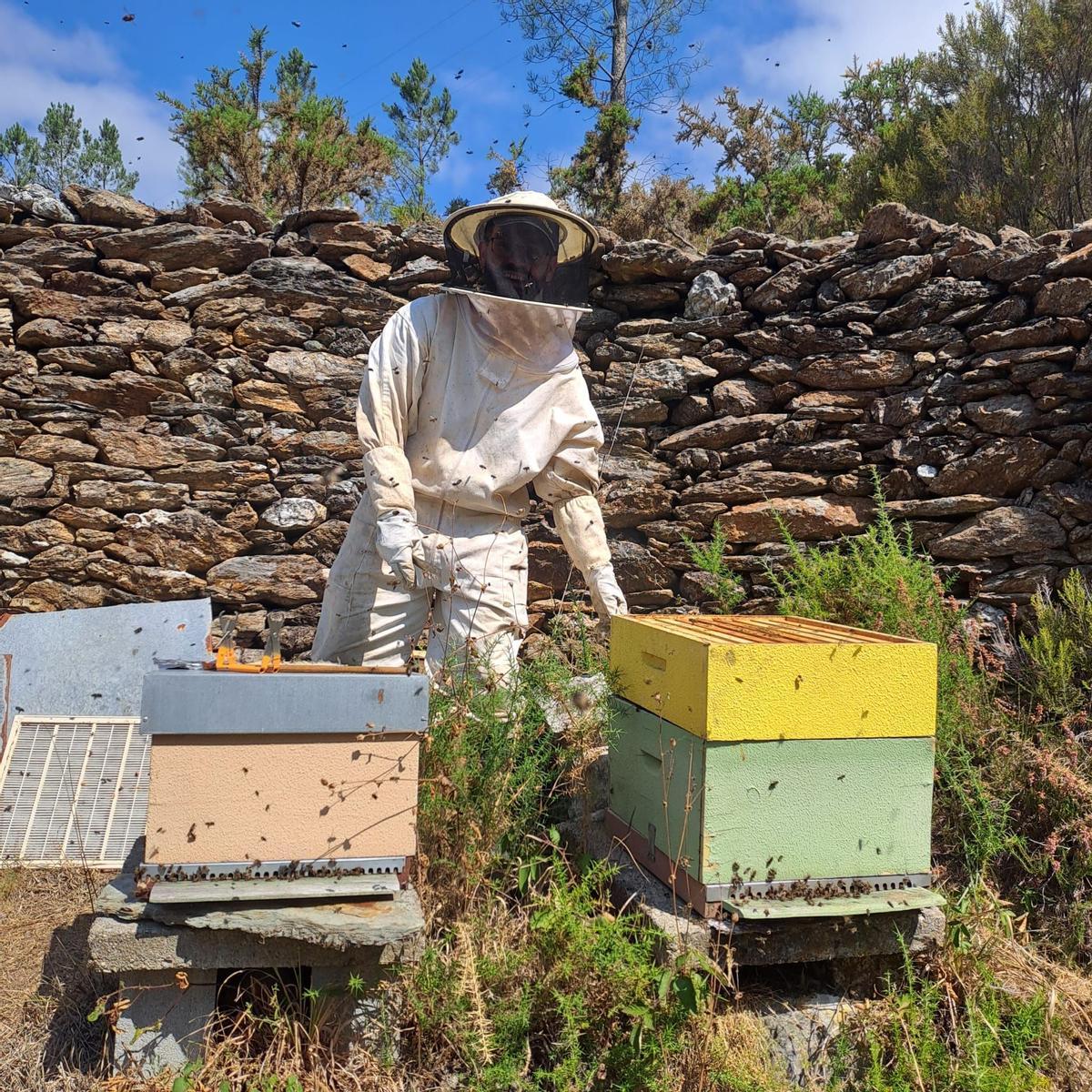 Un apicultor en la Alvariza de Sofía, en la Serra do Candán.
