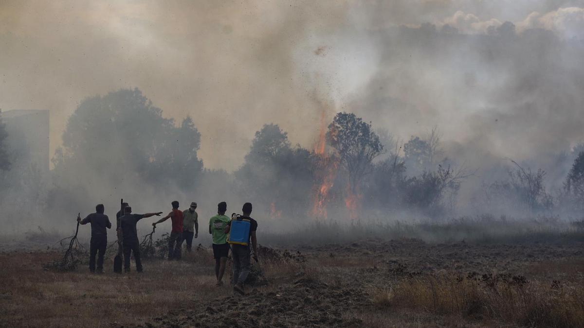 Imágenes del incendio originado en Lober de Aliste.