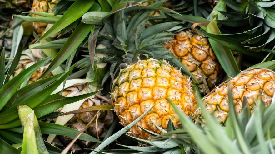 Adiós a la dieta, la fruta que te ayuda a controlar el apetito