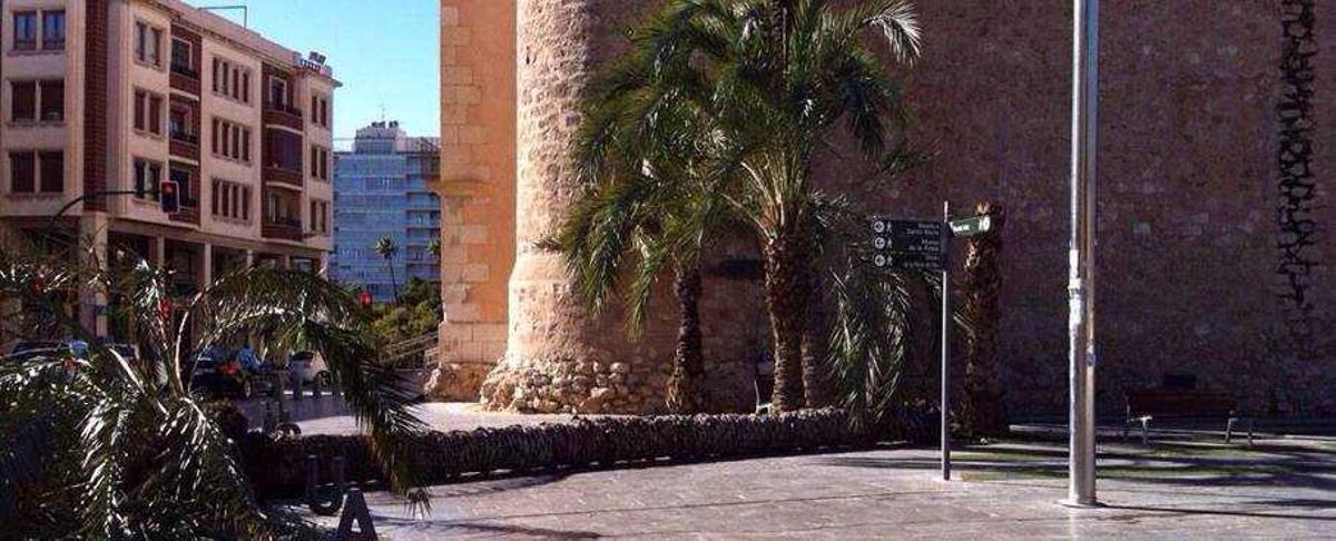 Imagen de la palmera que cayó junto al Palacio de Altamira y el MAHE.