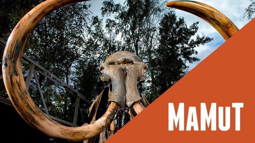 Visita en familia: cazadoras de mamuts. Exposición mamut. El gigante de la edad de hielo