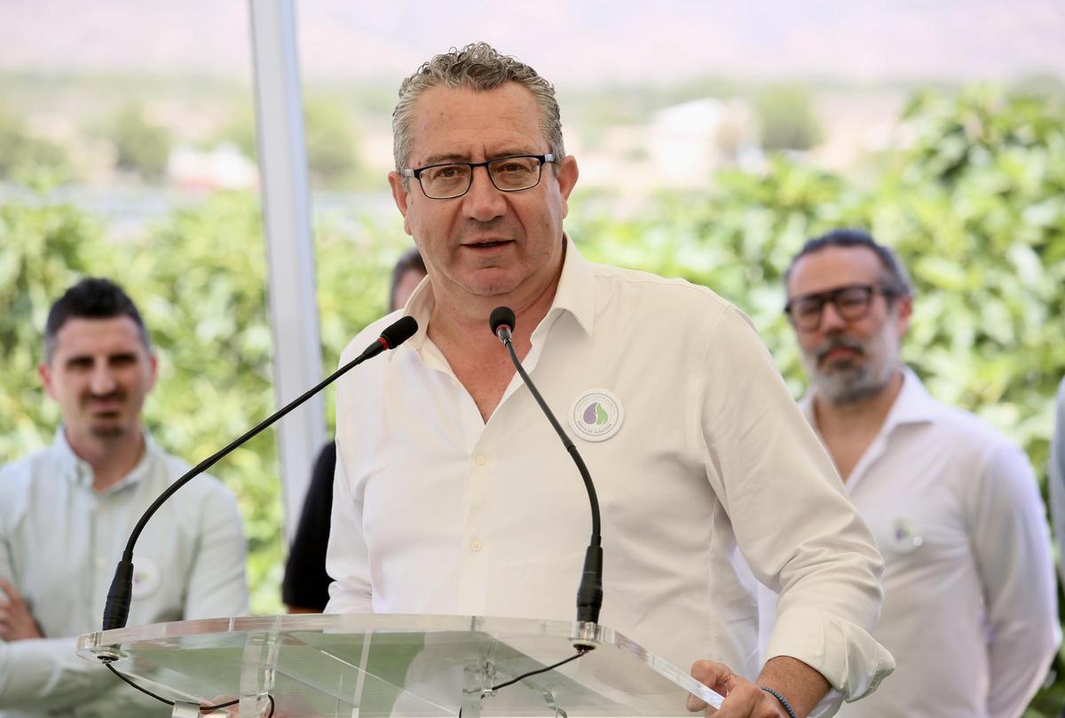 Acto del corte de la breva en Albatera 2024 Acto del corte de la breva en Albatera 2024