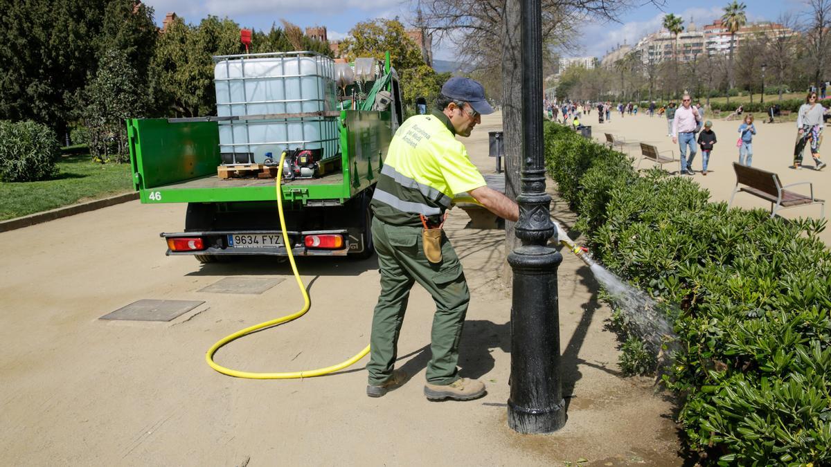 Un operario del Ayuntamiento de Barcelona riega la zona verde de un parque con agua freática.