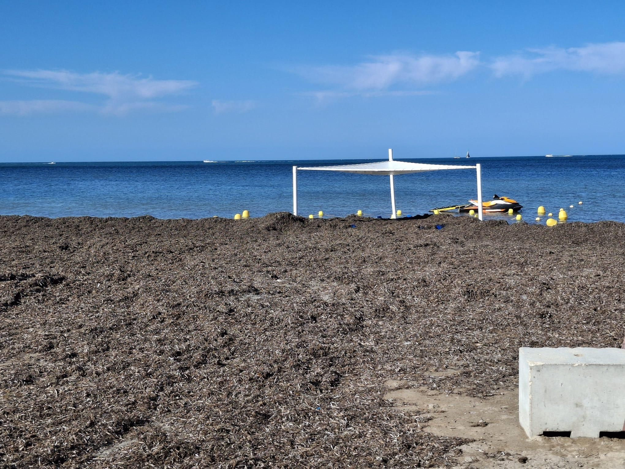 ¡Esto es vida!: manto de posidonia, aguas cristalinas y paz absoluta en la Marineta Cassiana de Dénia
