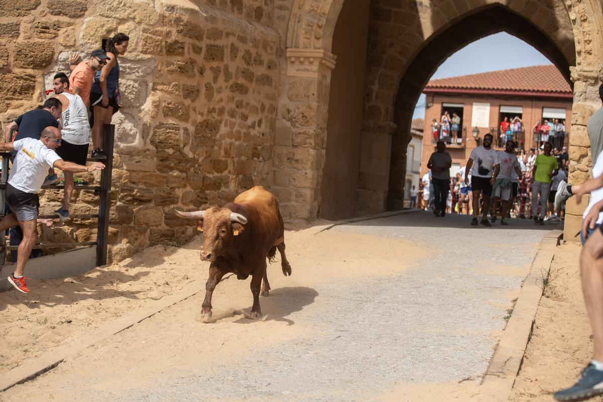 El toro cruza la Puerta Villa desde San Andrés hacia el parque.