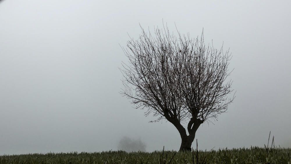 Boira baixa. Començava el dia amb una boira tan plana que no hi havia gens de visibilitat.