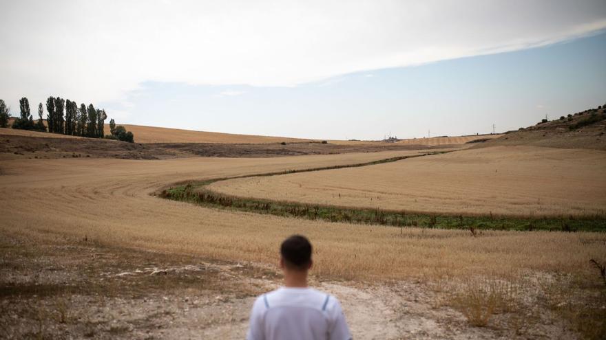 Zamora se ve afectada por el clima más seco en 1.200 años, según un estudio