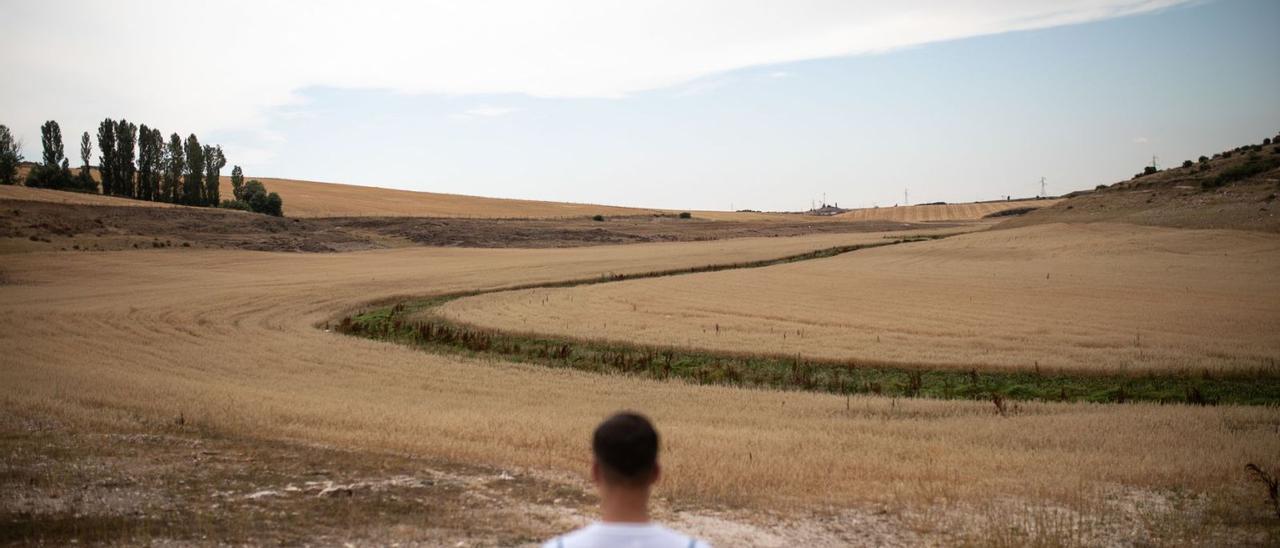 Una tierra afectada por la sequía en las inmediaciones de Zamora. | Emilio Fraile