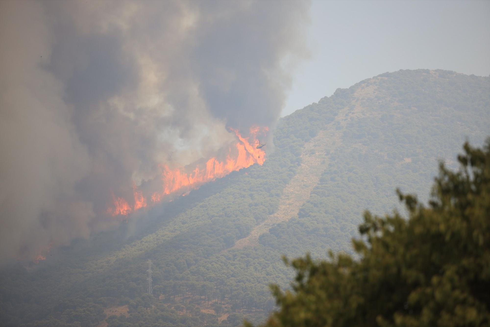 Declarado un incendio en la Sierra de Mijas