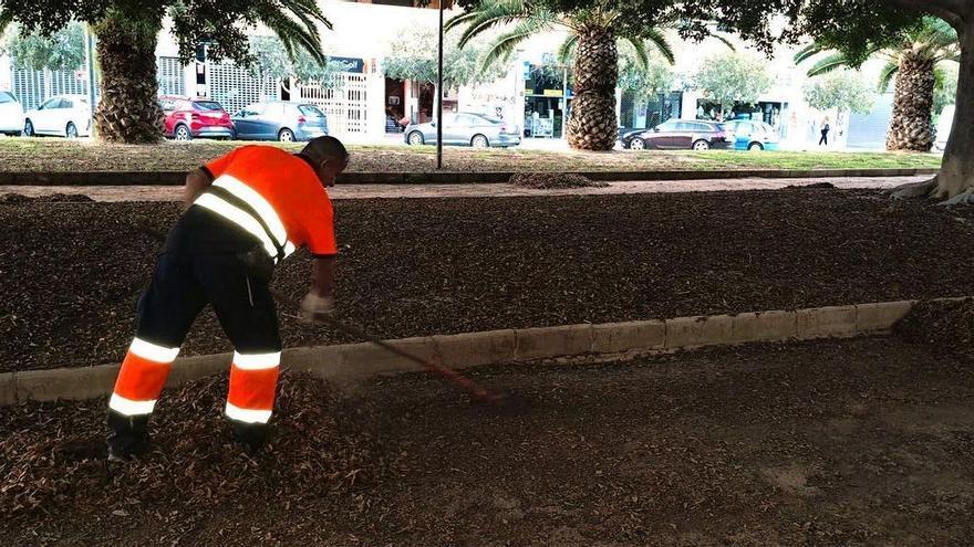 El PSOE de Alicante denuncia la falta de personal de limpieza viaria en la ciudad