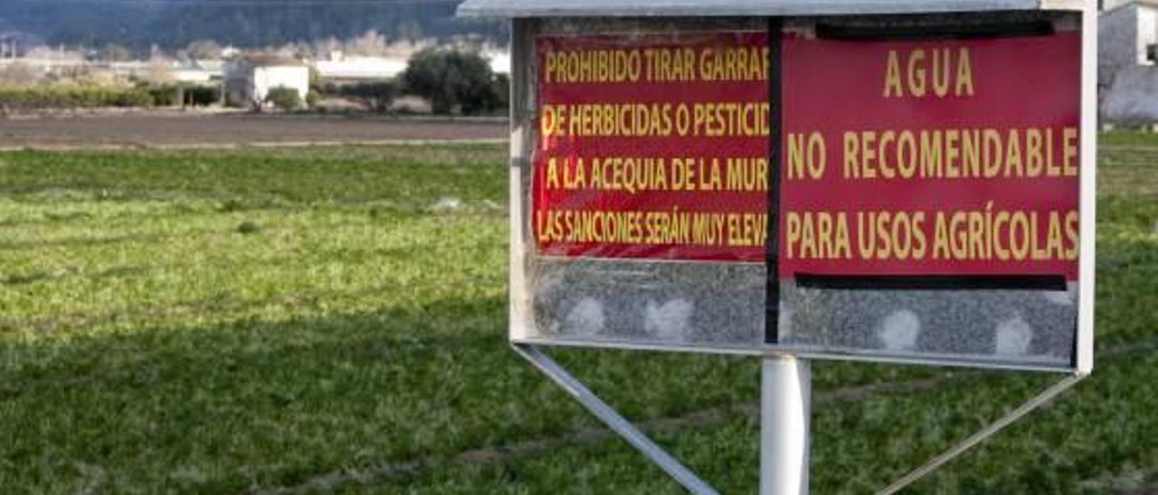 La Murta advierte a sus regantes de que el agua no es apta para usos agrícolas