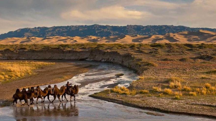 Dauria (Mongolia)  |  Gran diversidad de especies y ecosistemas de relevancia mundial. Sirve de hábitat para especies raras de fauna y millones de especies vulnerables.