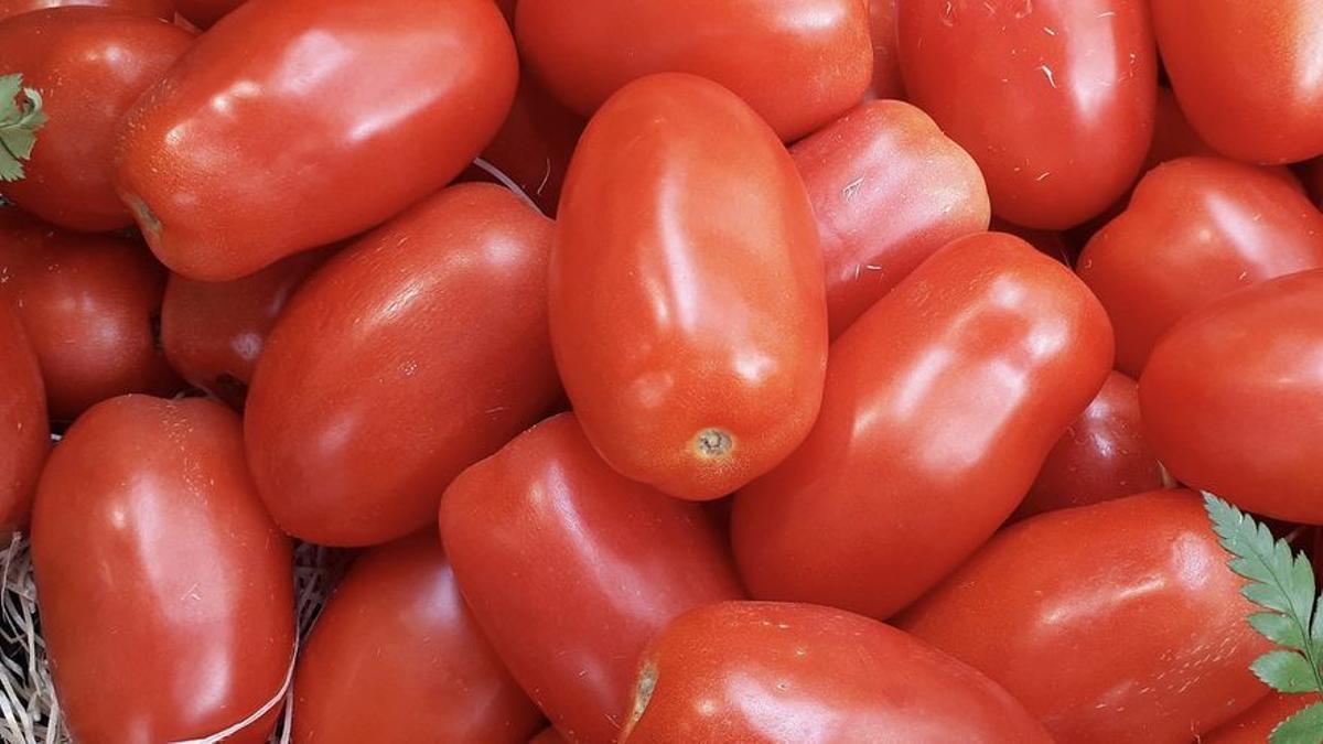 Los tomates pera, los más versátiles.