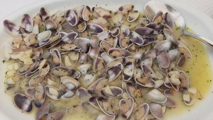 Imagen de un plato de coquinas del Bar Paquiqui en Zahara