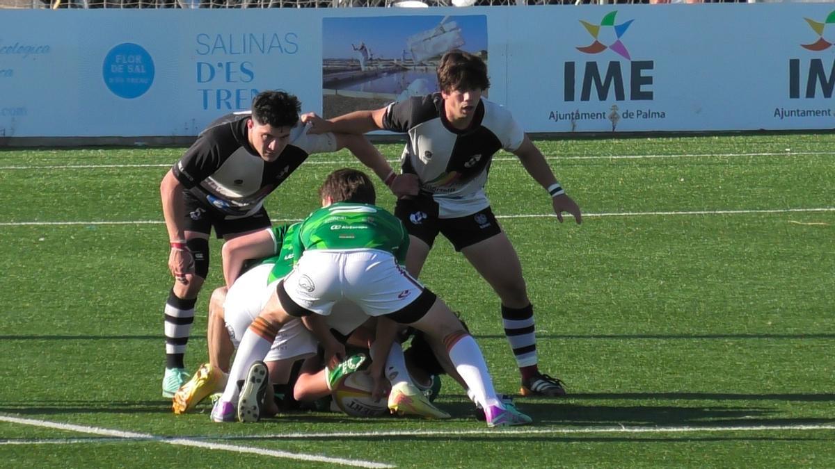 El Toro gana el derbi y deja muy tocado al Palma Rugby Unión (31-46)