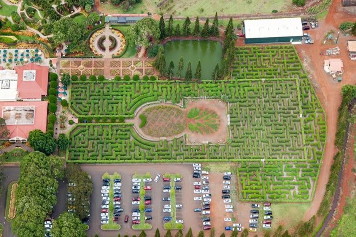 Dole Plantation's