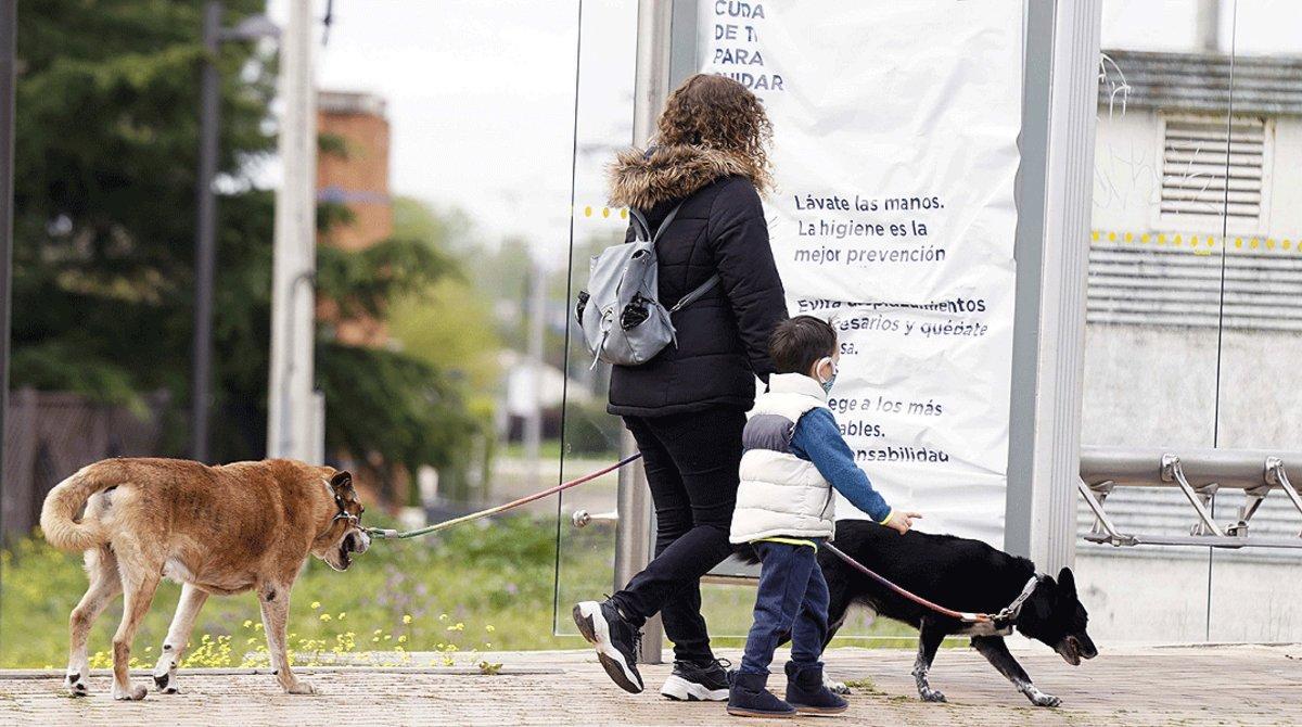 Una mujer y su hijo pasean con sus dos perros, en Boadilla del Monte (Madrid) el 16 de abril.