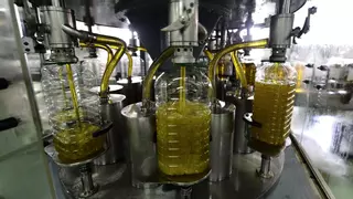 Cae un 12% el valor de las exportaciones extremeñas de aceite de oliva pese a alcanzar un volumen récord